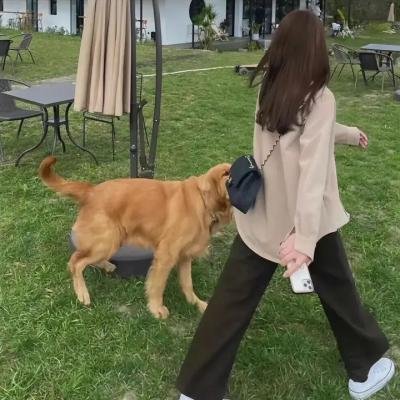家乡的消息